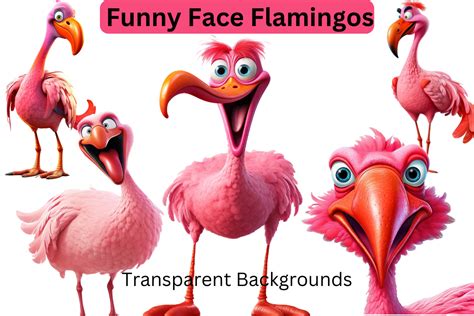 funny flamingo clipart